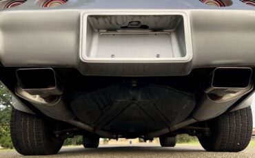 Chevrolet-Corvette-1979-Silver-Beige-19