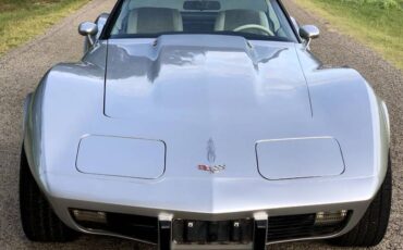 Chevrolet-Corvette-1979-Silver-Beige-2