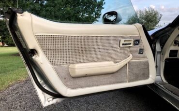 Chevrolet-Corvette-1979-Silver-Beige-20