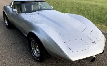 Chevrolet-Corvette-1979-Silver-Beige-3