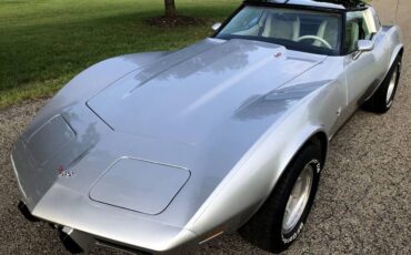 Chevrolet-Corvette-1979-Silver-Beige-4