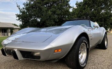 Chevrolet-Corvette-1979-Silver-Beige-5