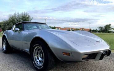 Chevrolet-Corvette-1979-Silver-Beige-6