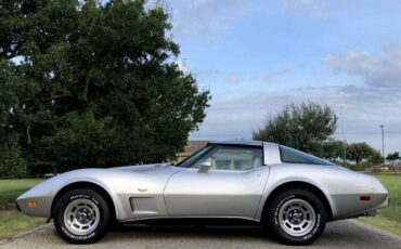 Chevrolet-Corvette-1979-Silver-Beige-7