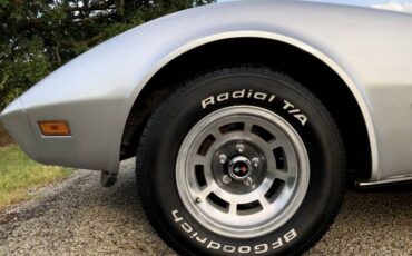 Chevrolet-Corvette-1979-Silver-Beige-8