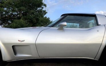Chevrolet-Corvette-1979-Silver-Beige-9