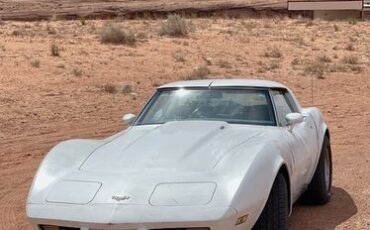 Chevrolet-Corvette-1979-White-1