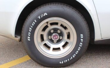 Chevrolet-Corvette-1979-White-12