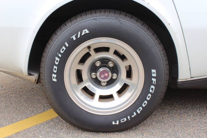 Chevrolet-Corvette-1979-White-12