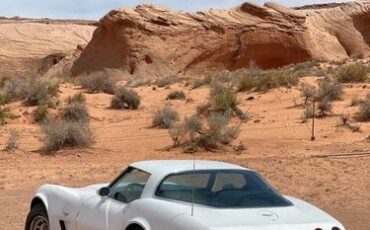 Chevrolet-Corvette-1979-White-2