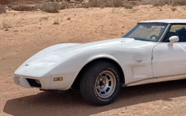 Chevrolet-Corvette-1979-White-4