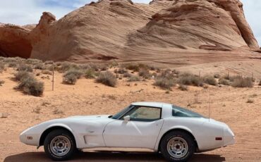 Chevrolet-Corvette-1979-White-5