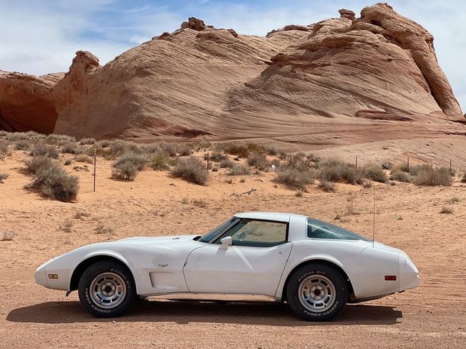 Chevrolet-Corvette-1979-White-5