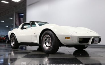 Chevrolet-Corvette-1979-White-Black-41