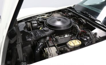 Chevrolet-Corvette-1979-White-Black-5