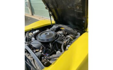 Chevrolet-Corvette-1979-yellow-Tan-3