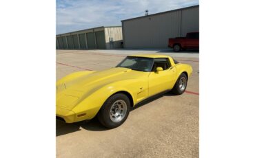 Chevrolet-Corvette-1979-yellow-Tan-5