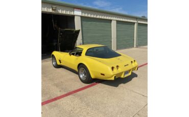 Chevrolet-Corvette-1979-yellow-Tan-7