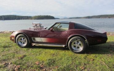 Chevrolet-Corvette-1980-10