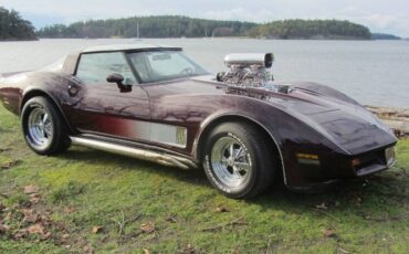 Chevrolet-Corvette-1980-11