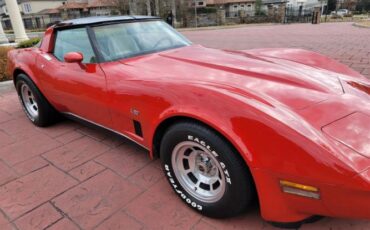 Chevrolet-Corvette-1980-13