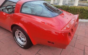 Chevrolet-Corvette-1980-16