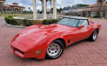 Chevrolet-Corvette-1980-17