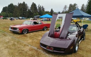 Chevrolet-Corvette-1980-5