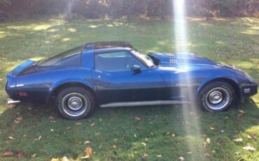Chevrolet-Corvette-1980-Blue-Metallic-2