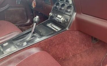 Chevrolet-Corvette-1980-Burgundy-Burgundy-3