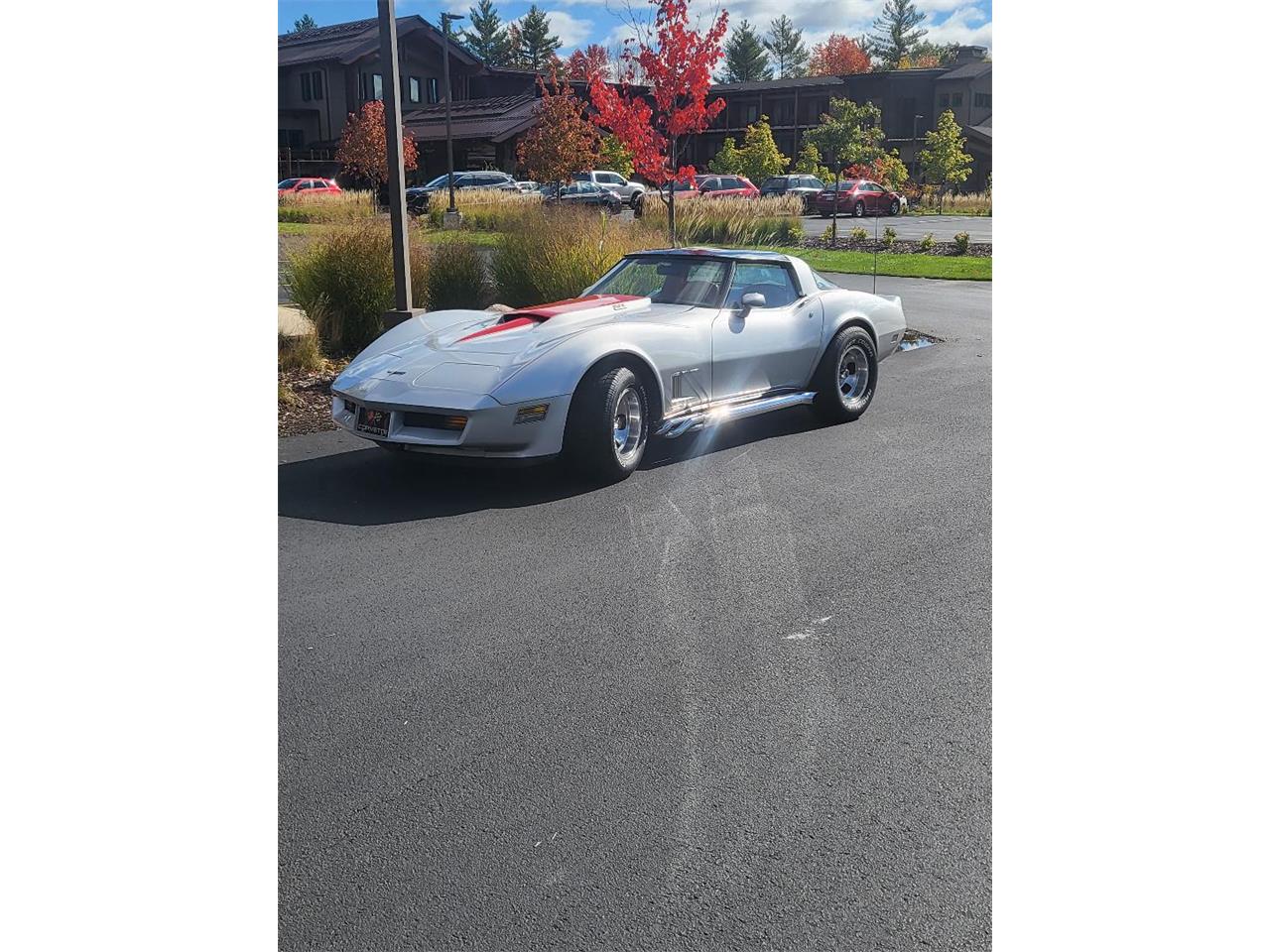 Chevrolet-Corvette-1980-Silver-Red-4