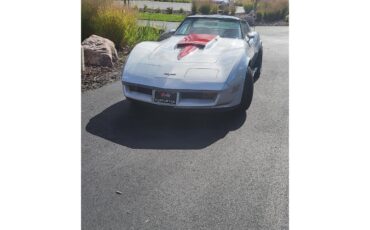 Chevrolet-Corvette-1980-Silver-Red-5