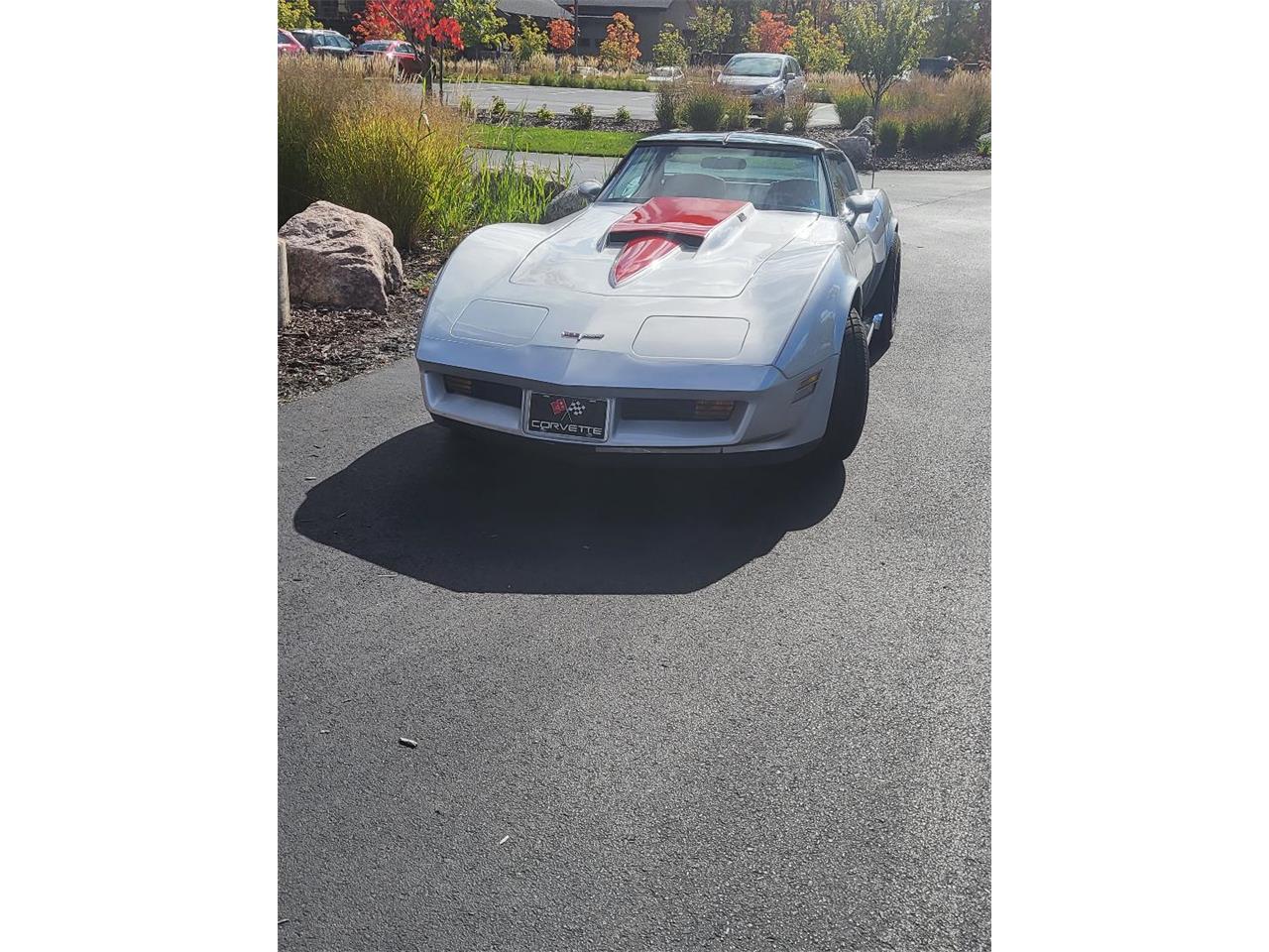 Chevrolet-Corvette-1980-Silver-Red-5