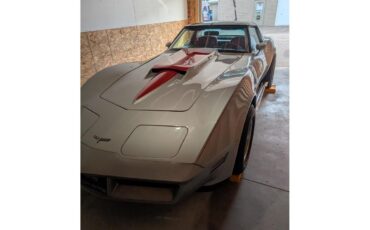 Chevrolet-Corvette-1980-Silver-Red-6