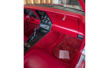 Chevrolet-Corvette-1980-Silver-Red-9