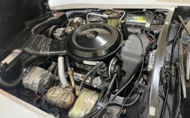 Chevrolet-Corvette-1980-White-1