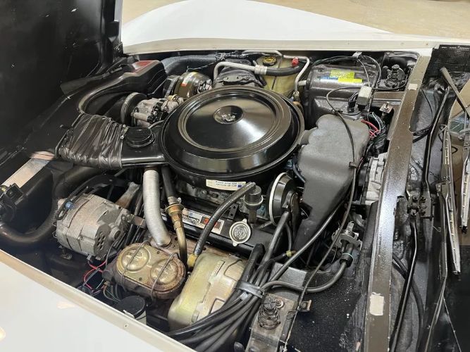 Chevrolet-Corvette-1980-White-1