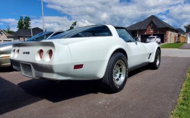Chevrolet-Corvette-1980-White-1