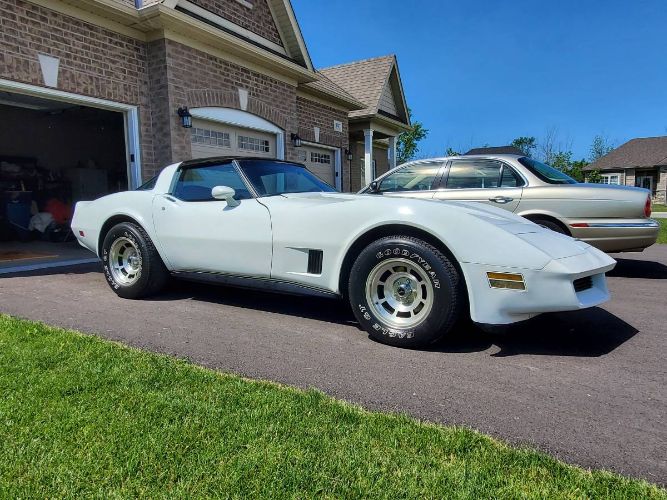 Chevrolet-Corvette-1980-White-3