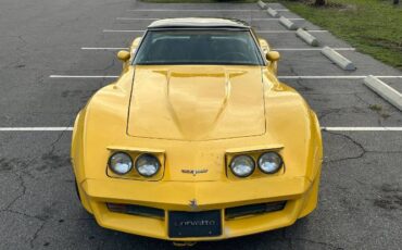 Chevrolet-Corvette-1980-Yellow-10