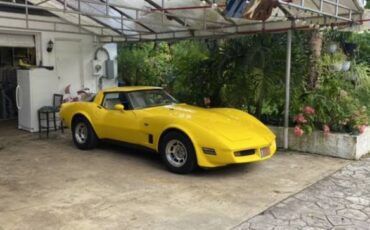 Chevrolet-Corvette-1980-Yellow-11