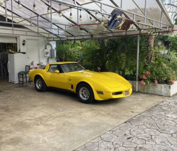 Chevrolet-Corvette-1980-Yellow-11