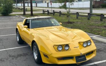 Chevrolet-Corvette-1980-Yellow-13