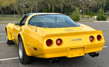 Chevrolet-Corvette-1980-Yellow-18