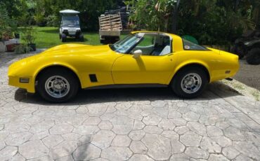 Chevrolet-Corvette-1980-Yellow-3