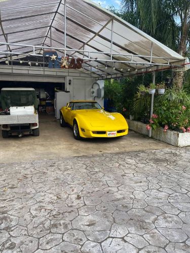 Chevrolet-Corvette-1980-Yellow-5