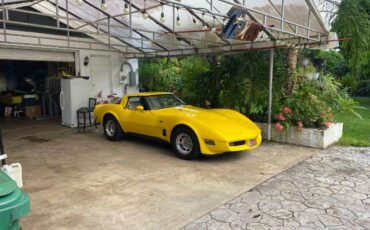 Chevrolet-Corvette-1980-Yellow-6