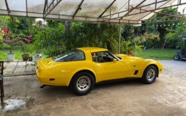 Chevrolet-Corvette-1980-Yellow-7