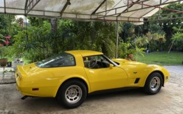 Chevrolet-Corvette-1980-Yellow-9