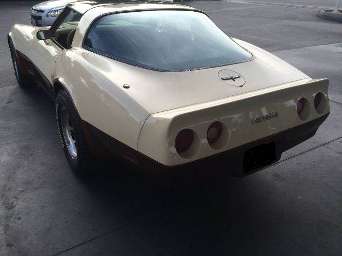 Chevrolet-Corvette-1981-1